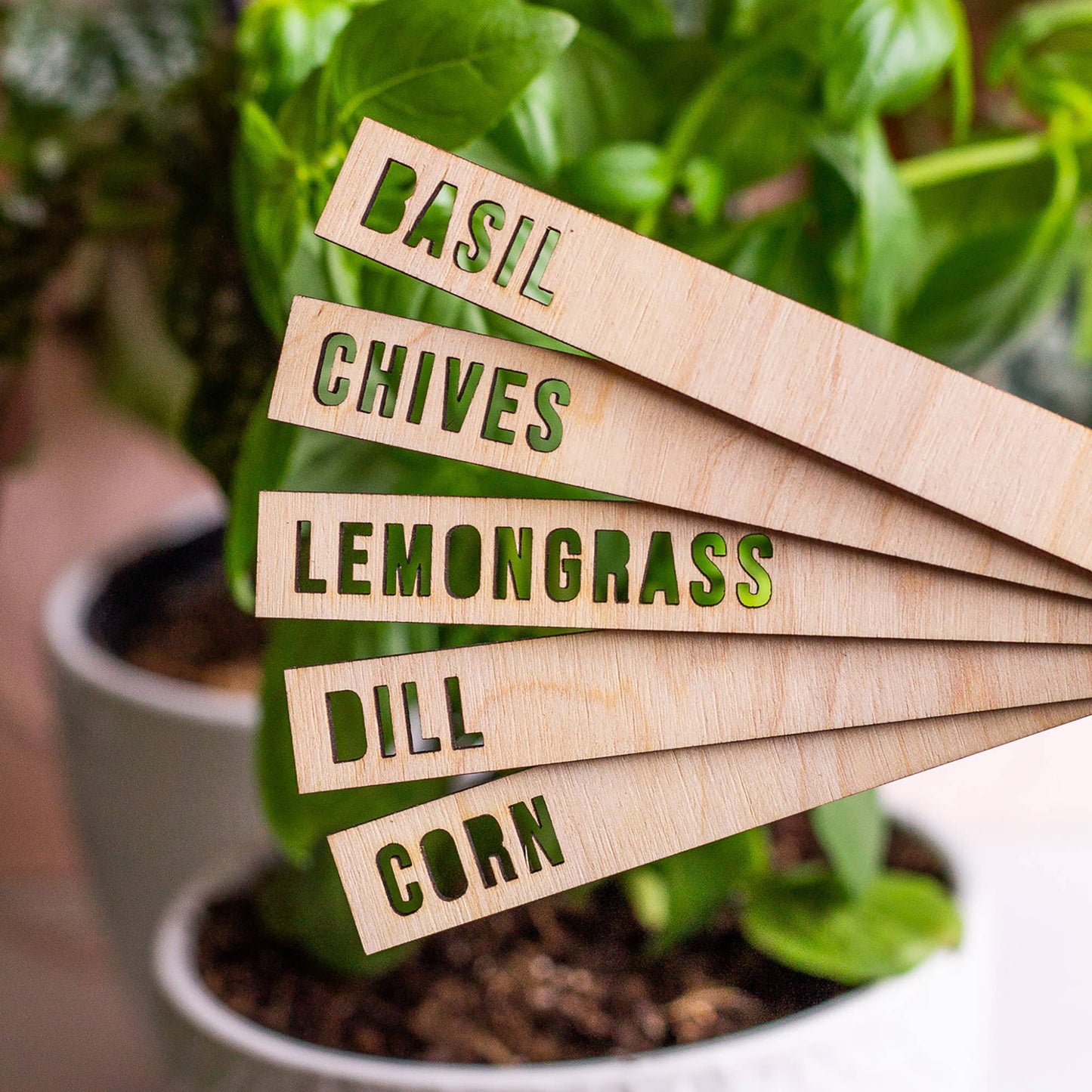 Wooden Plant Name Markers: Basil