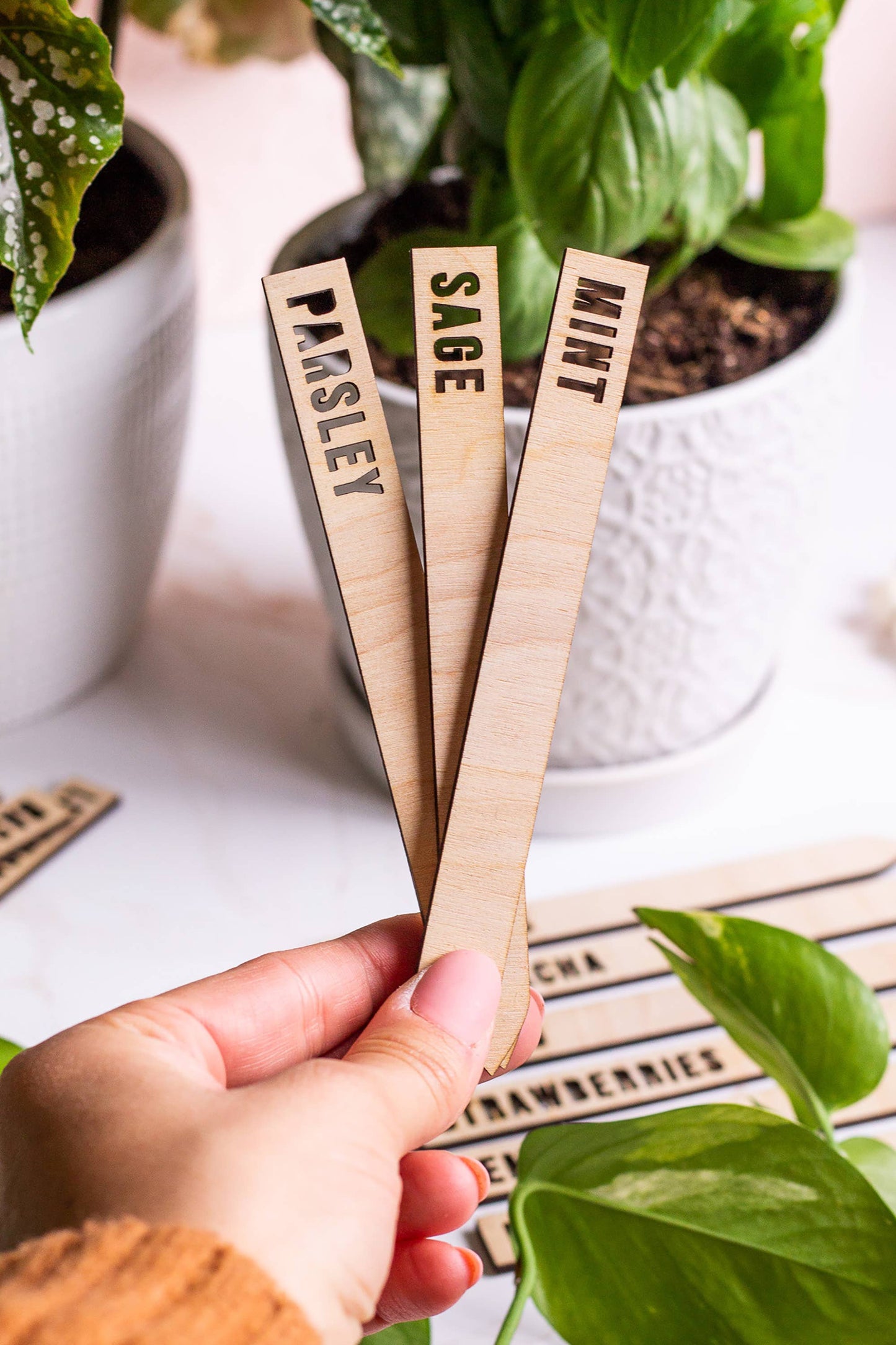 Wooden Plant Name Markers: Basil