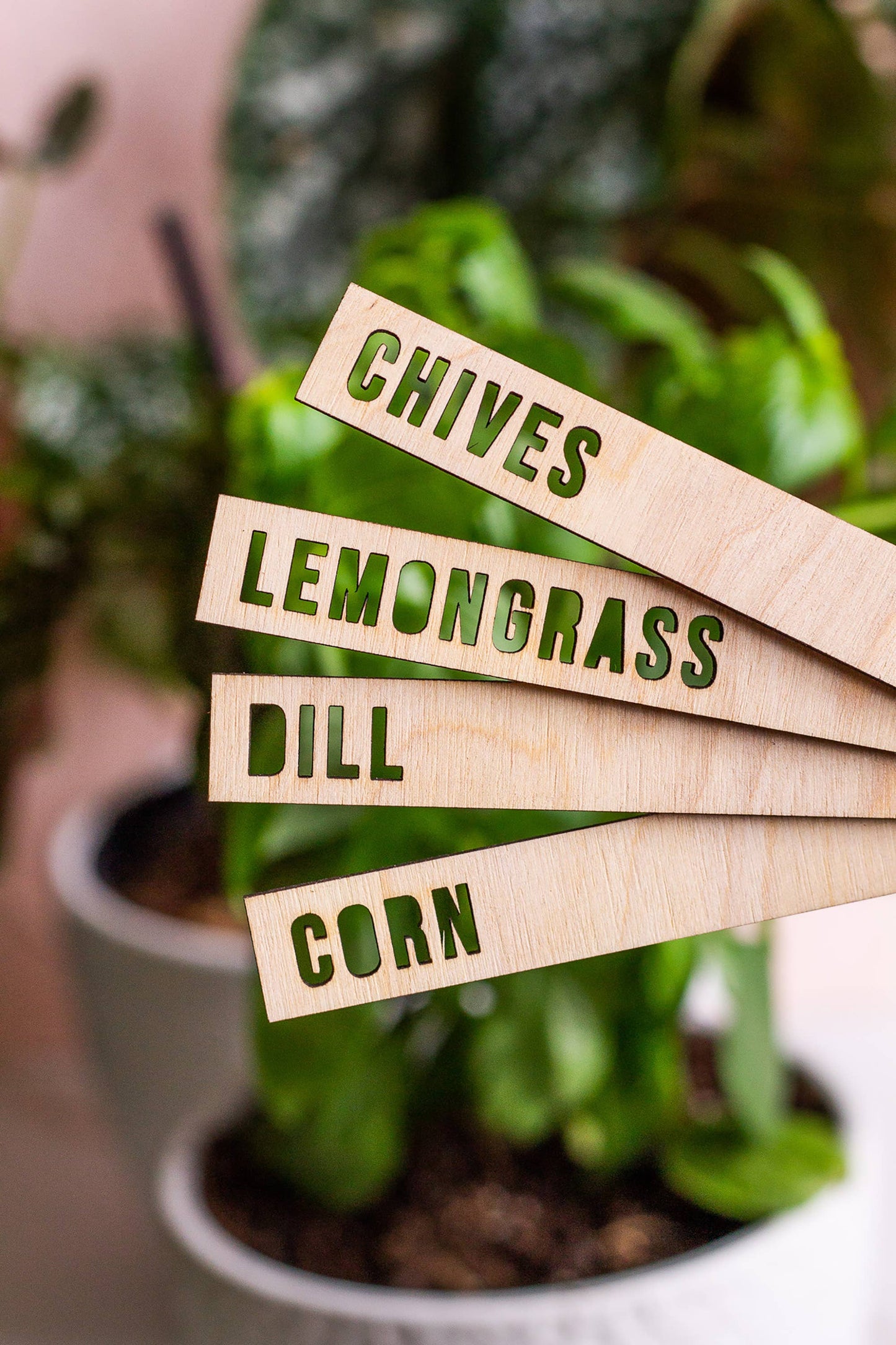 Wooden Plant Name Markers: Basil