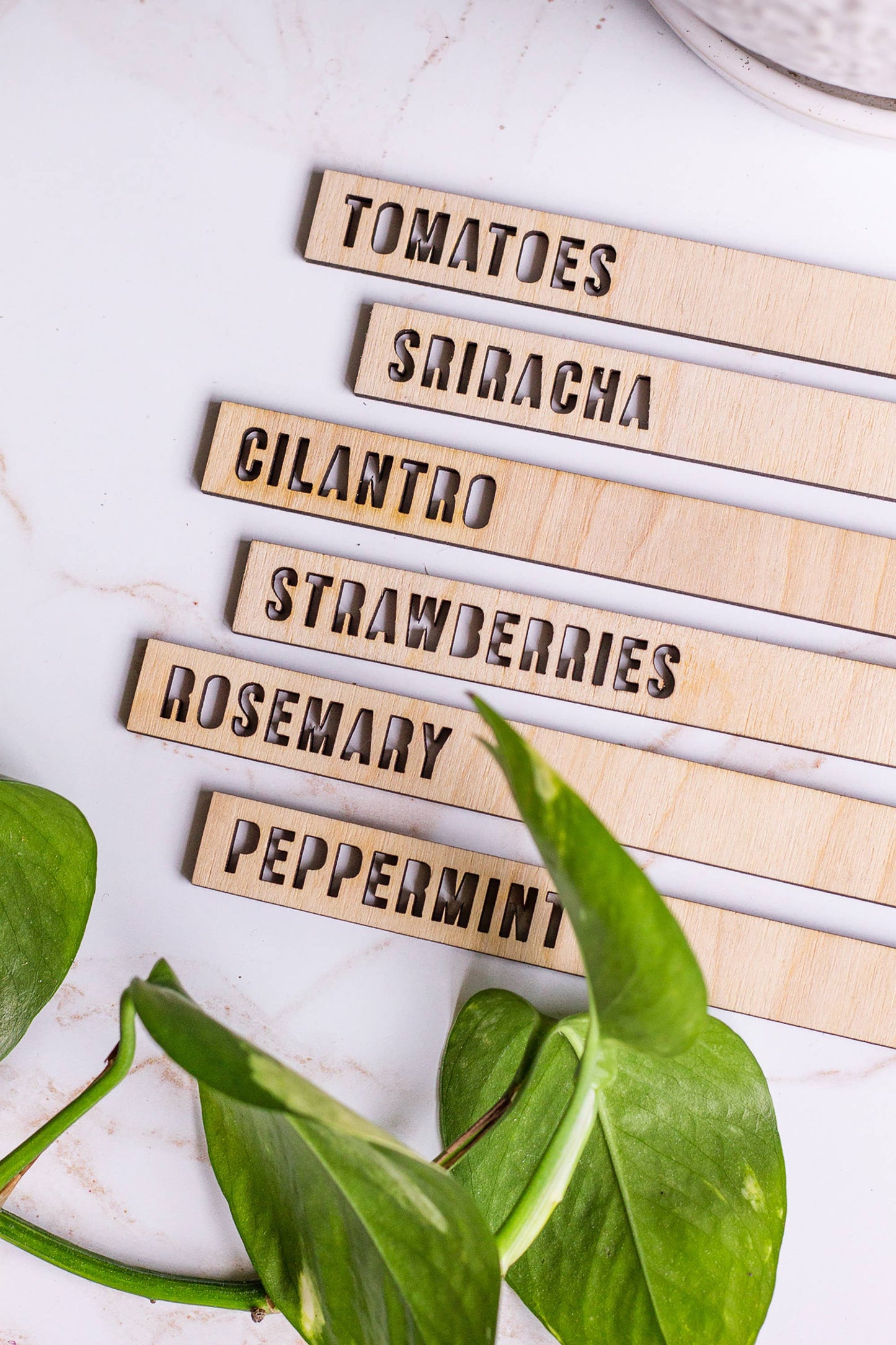 Wooden Plant Name Markers: Basil