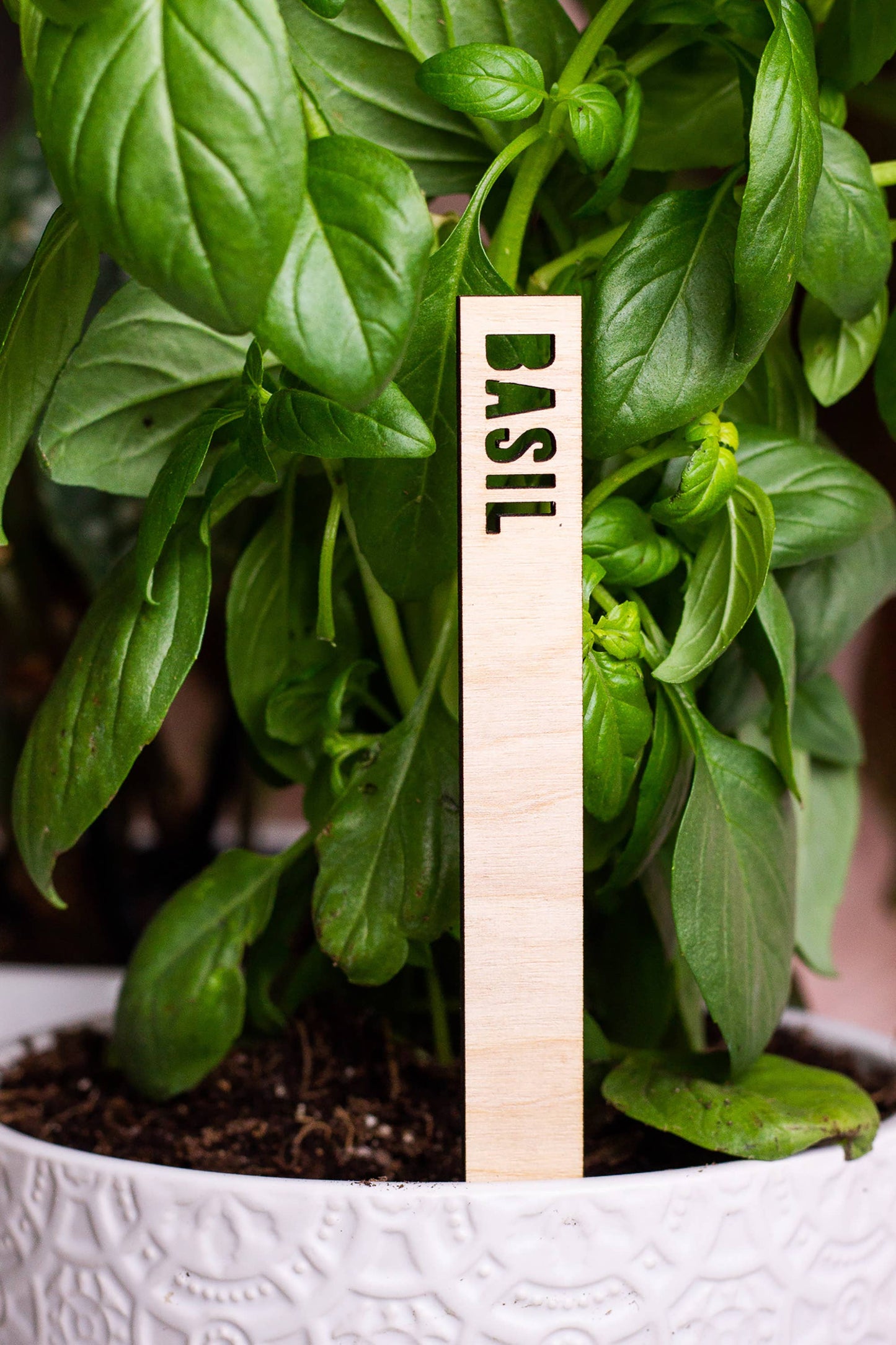 Wooden Plant Name Markers: Basil