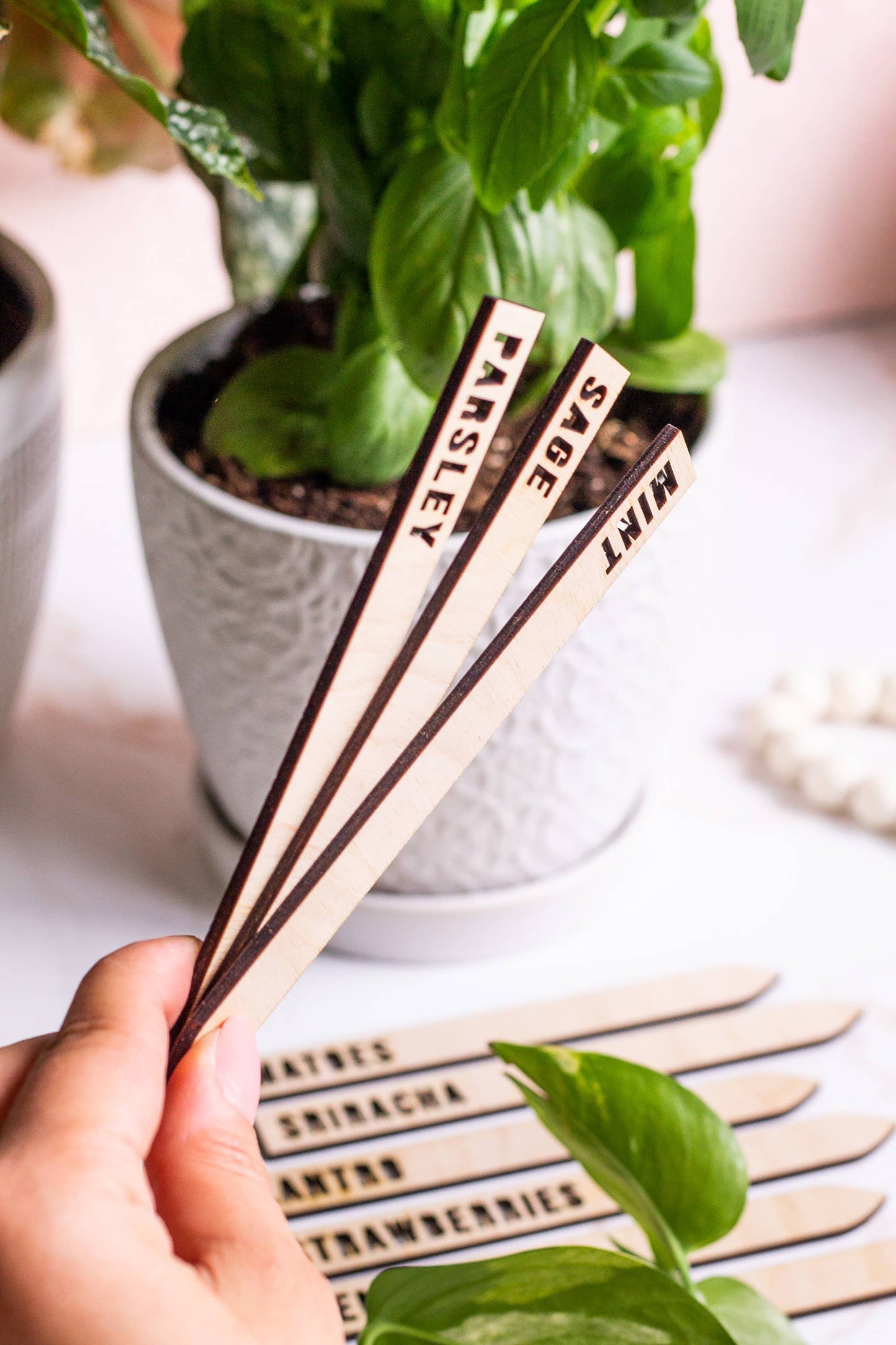 Wooden Plant Name Markers: Basil