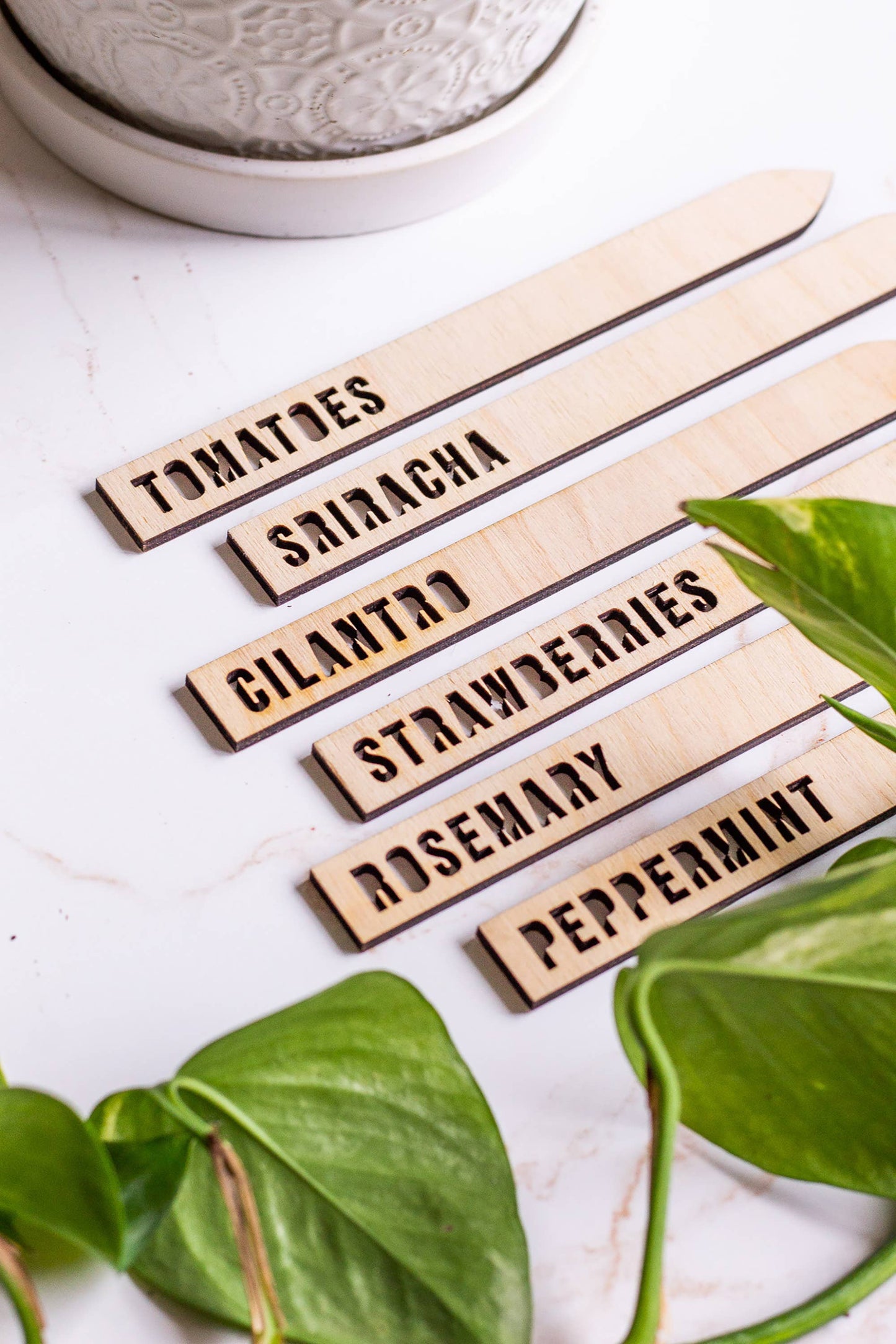 Wooden Plant Name Markers: Basil